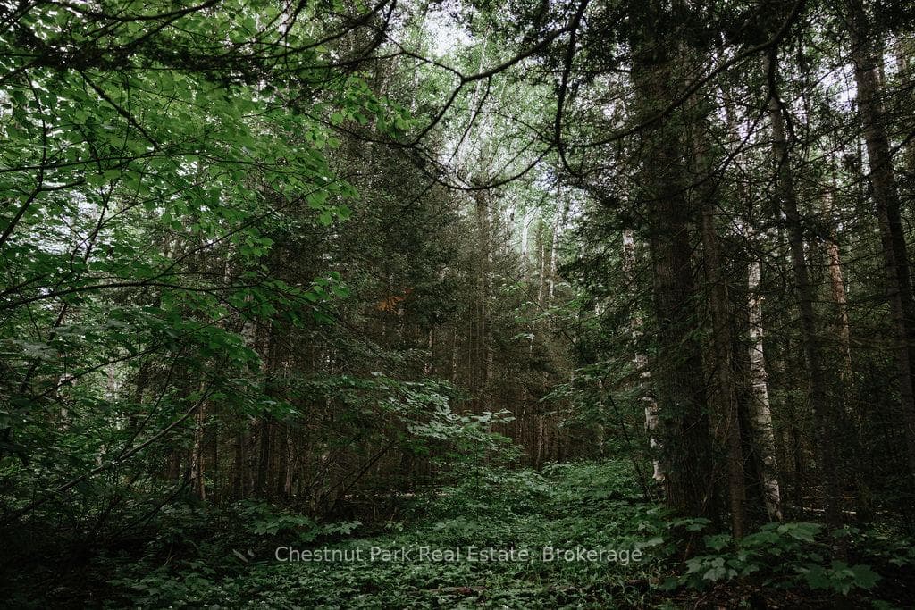 447 Fox Run photo 23