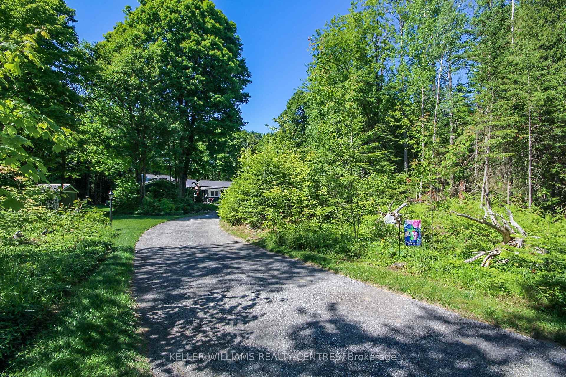 45 Grouse Drive photo 11