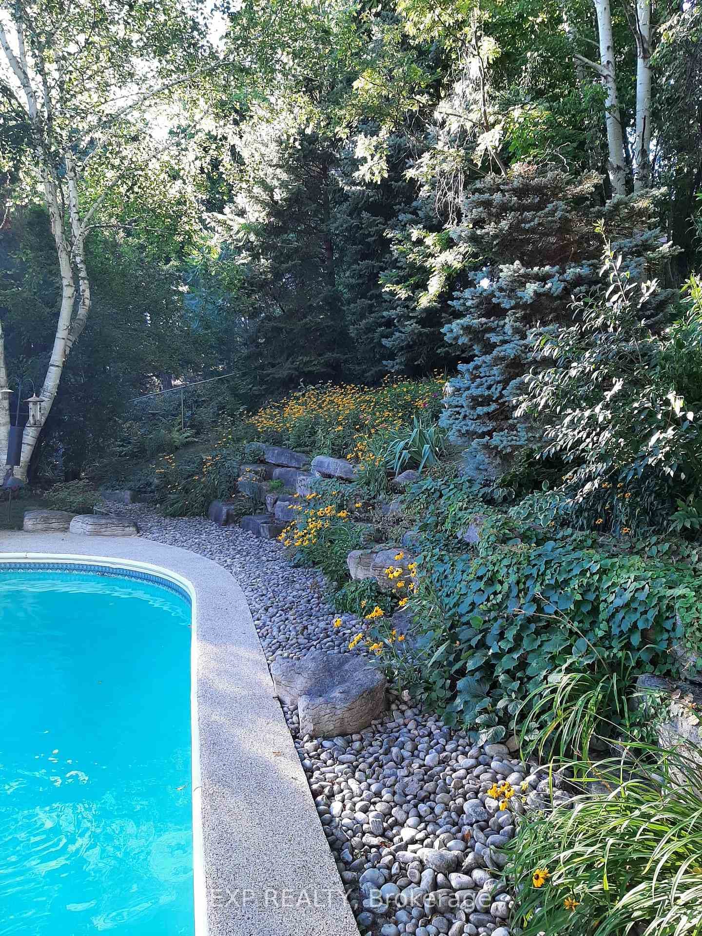 Backyard Oasis
