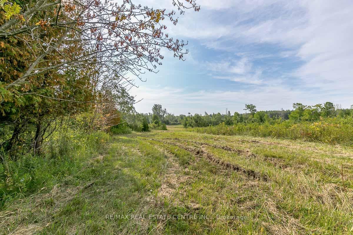 0 Shaws Creek Road photo 11