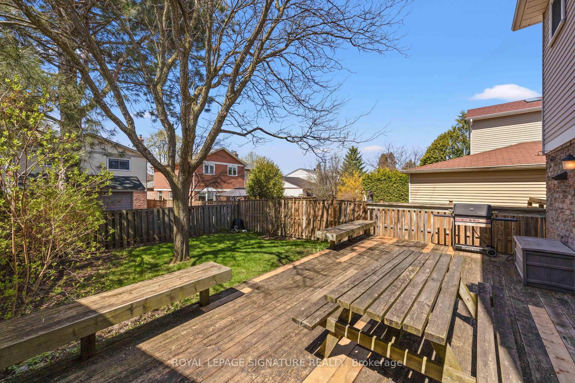Large backyard