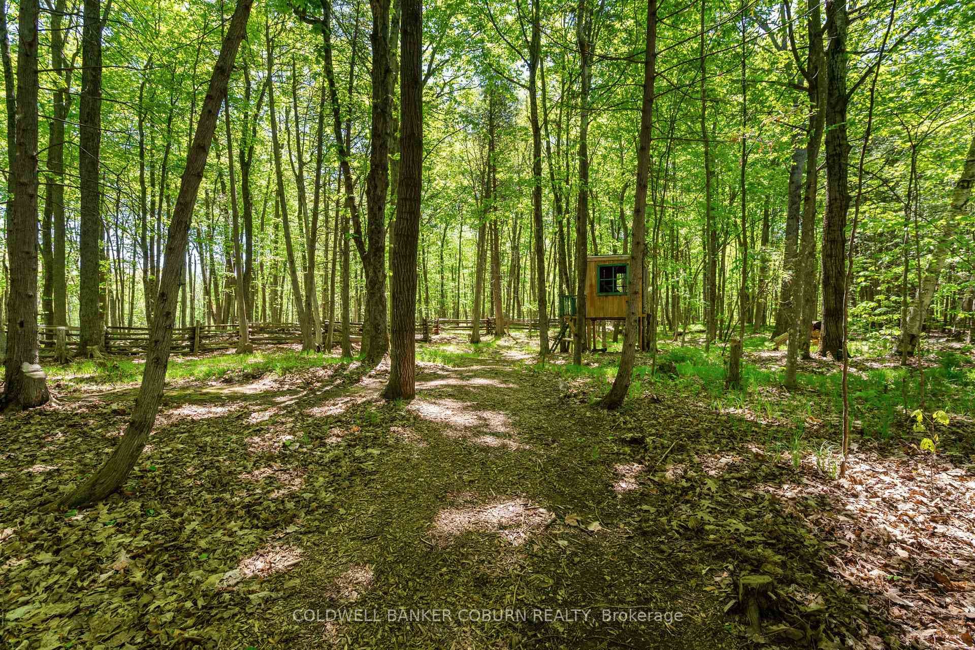 Peaceful wooded setting