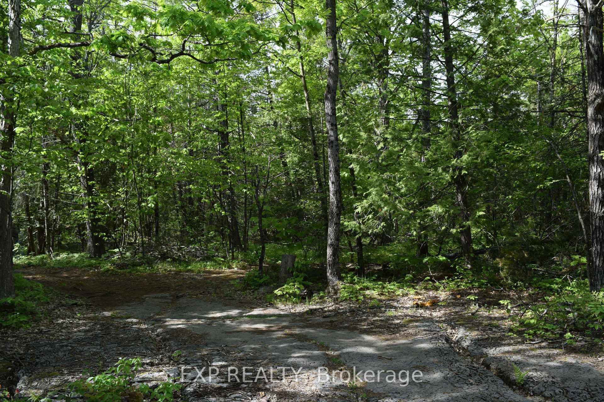 00 Hubble Road photo 9