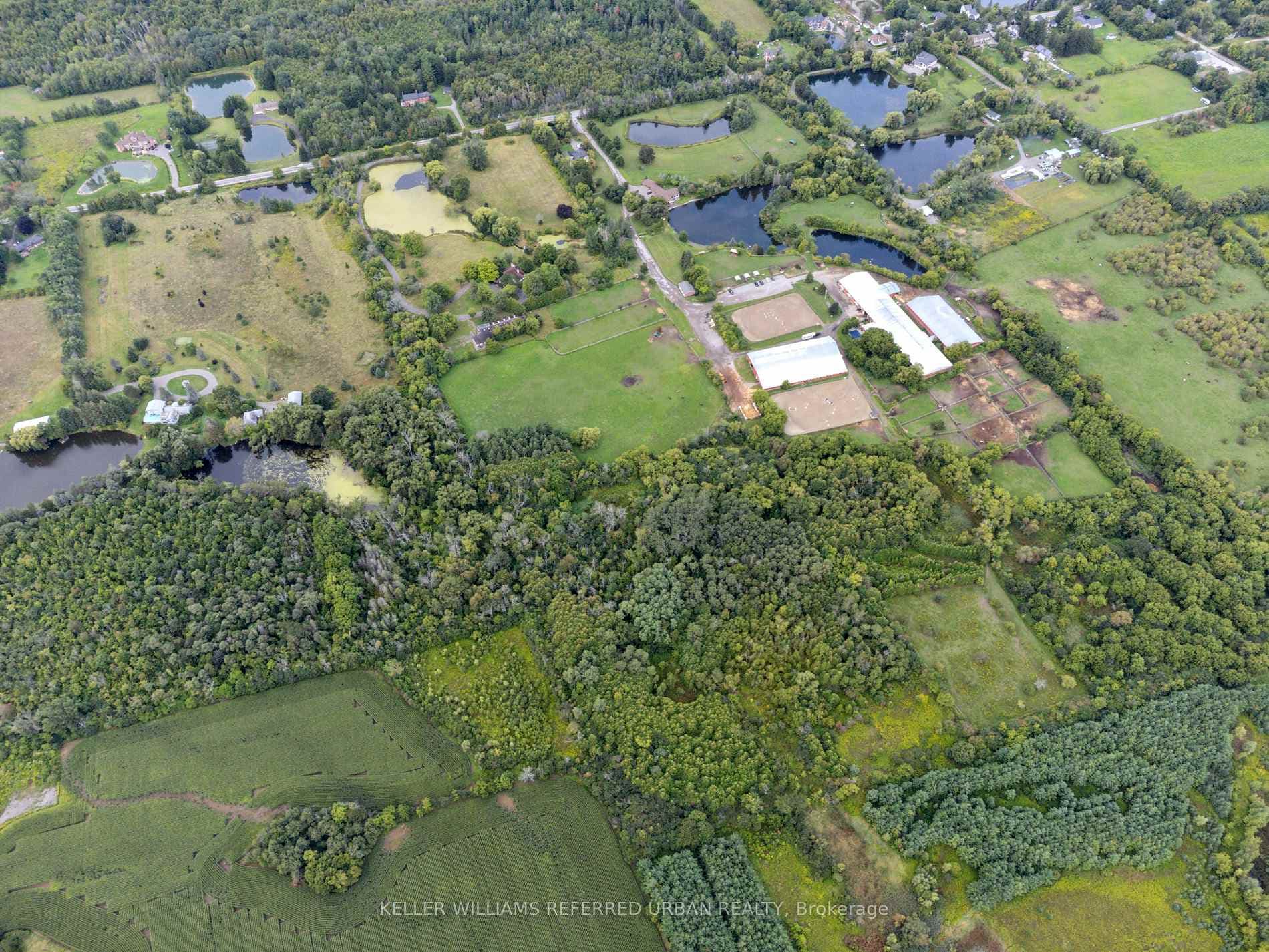 13191 McCowan Road photo 6