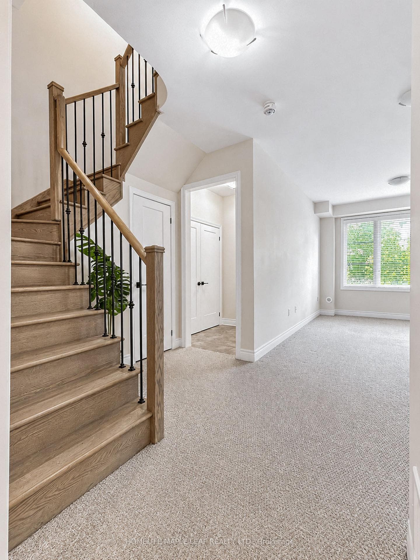 11 Aylin Crescent photo 3