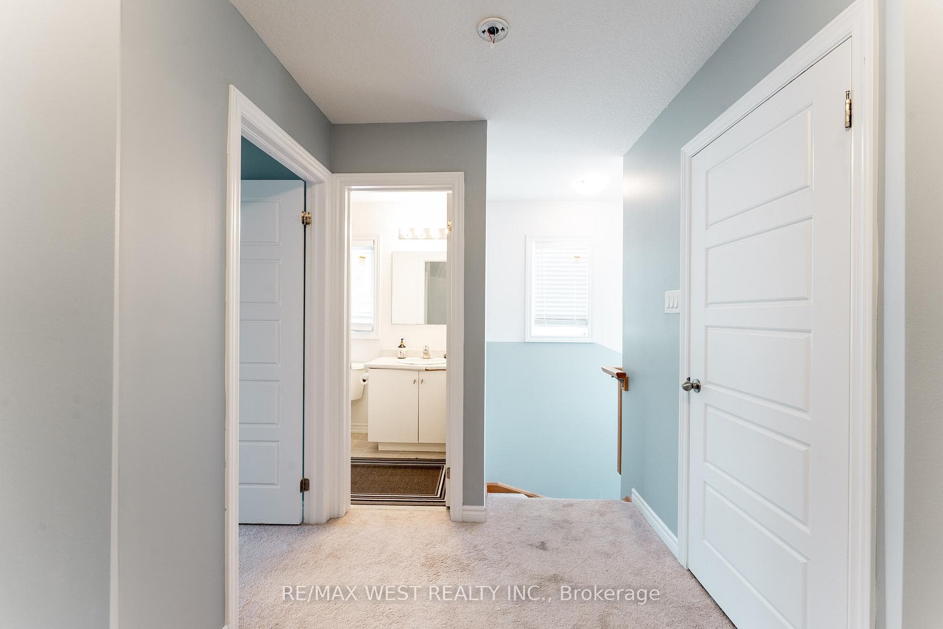24 Dewberry Drive photo 28