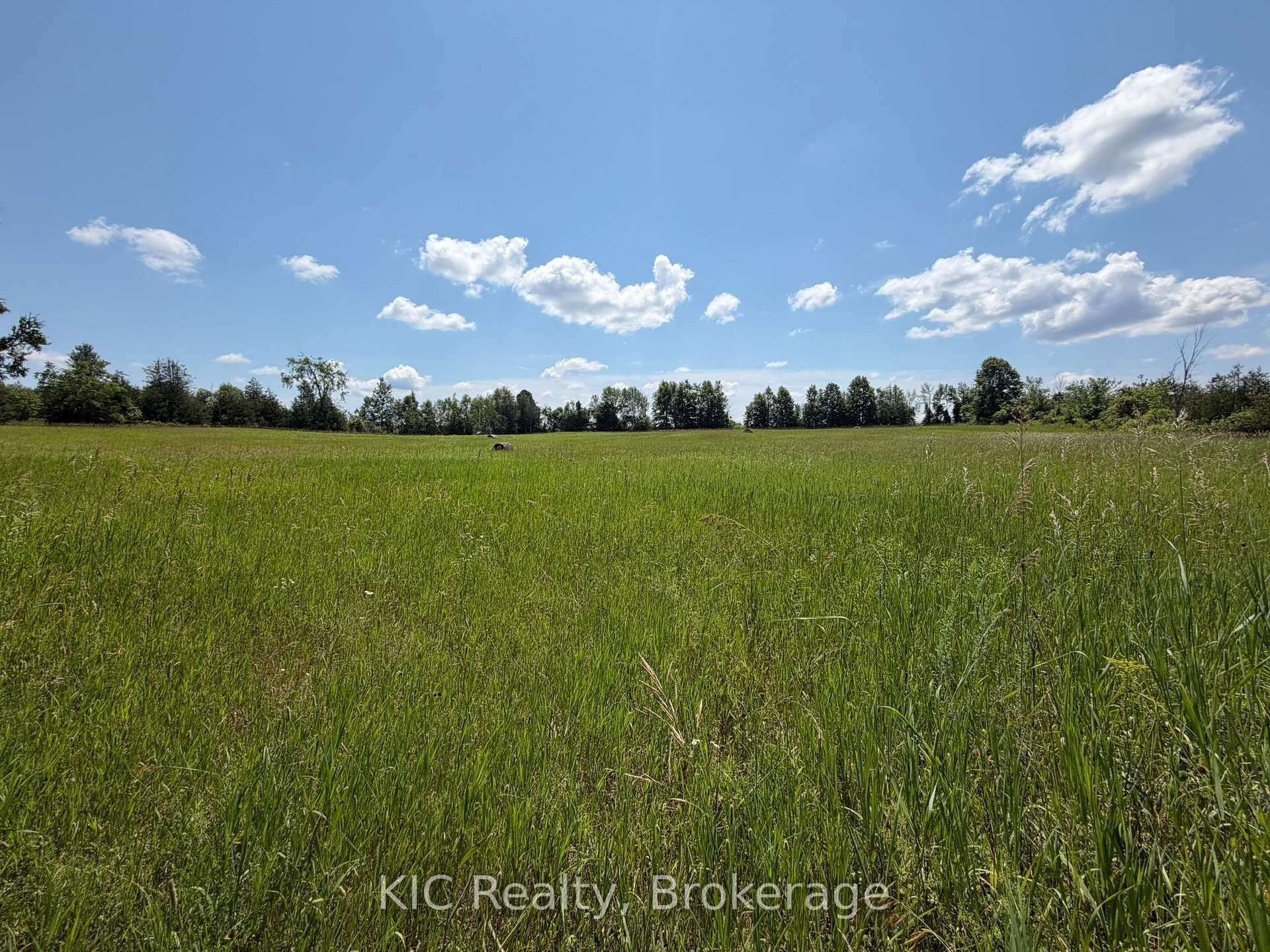 221 Jones Road photo 15