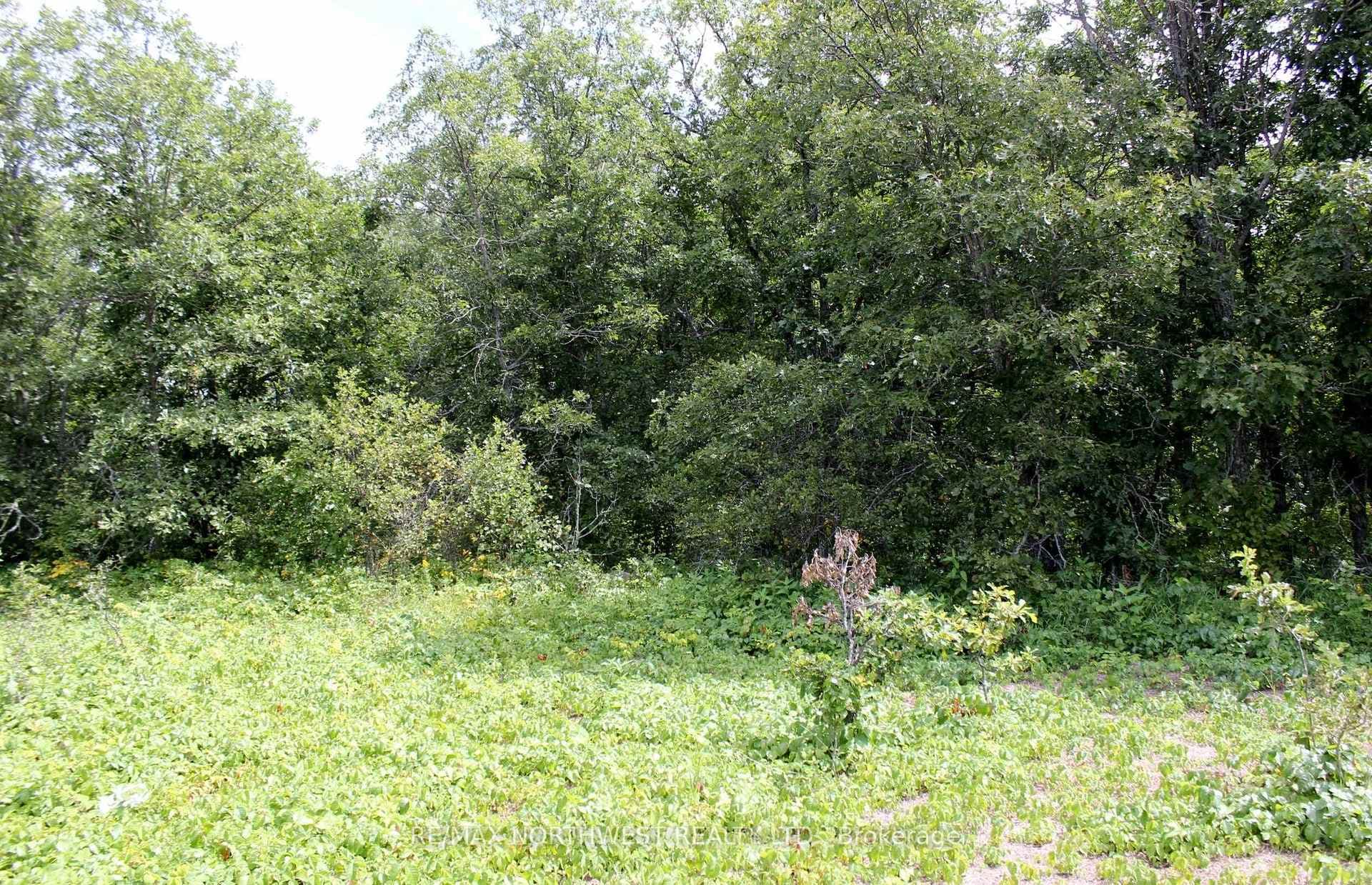 220 MORRISON RD photo 21