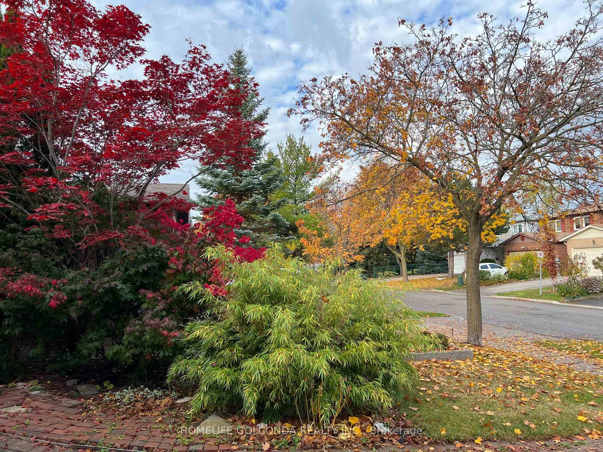 172 Stephenson Crescent photo 3