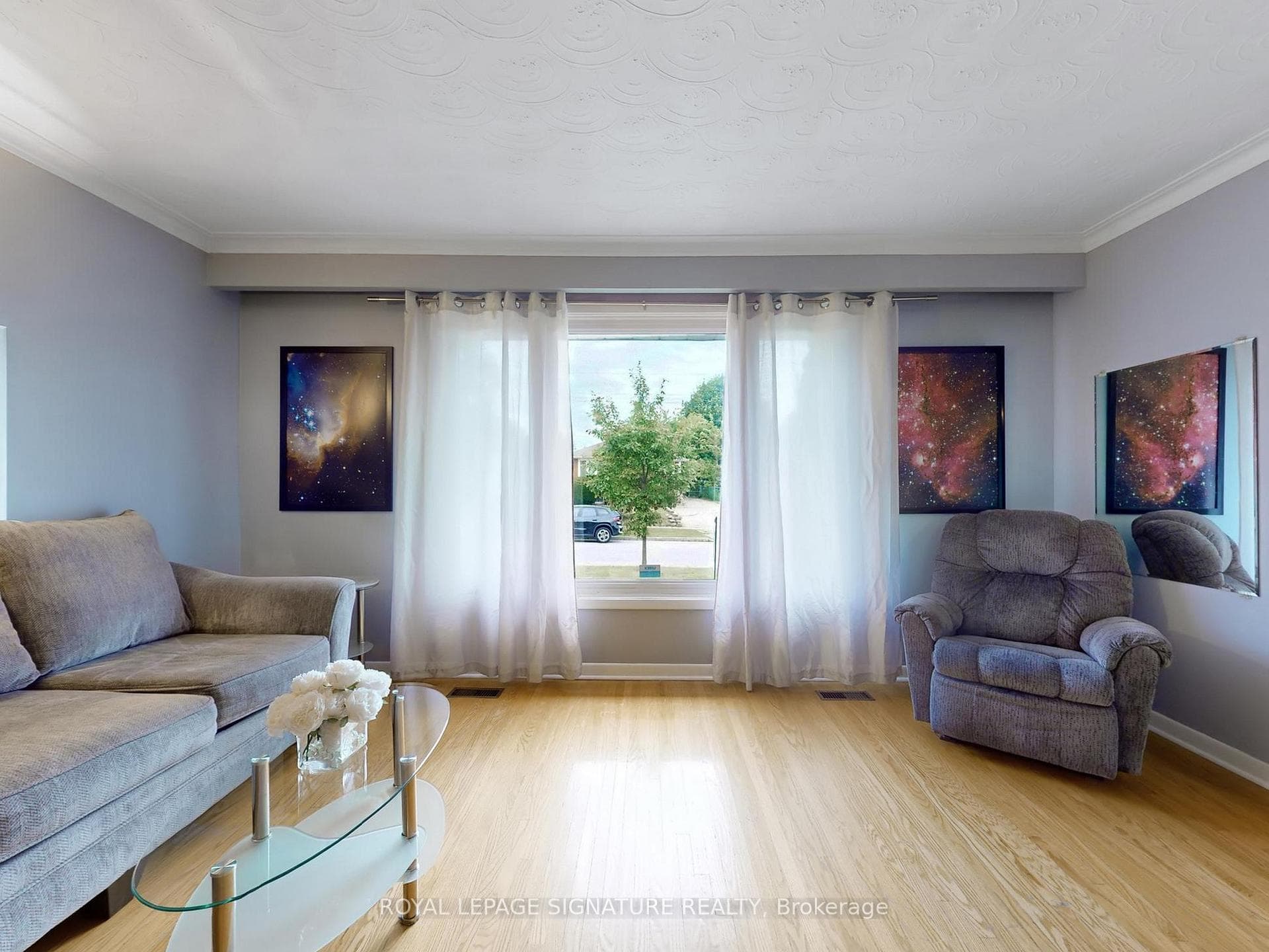 6 Saratoga Drive photo 2