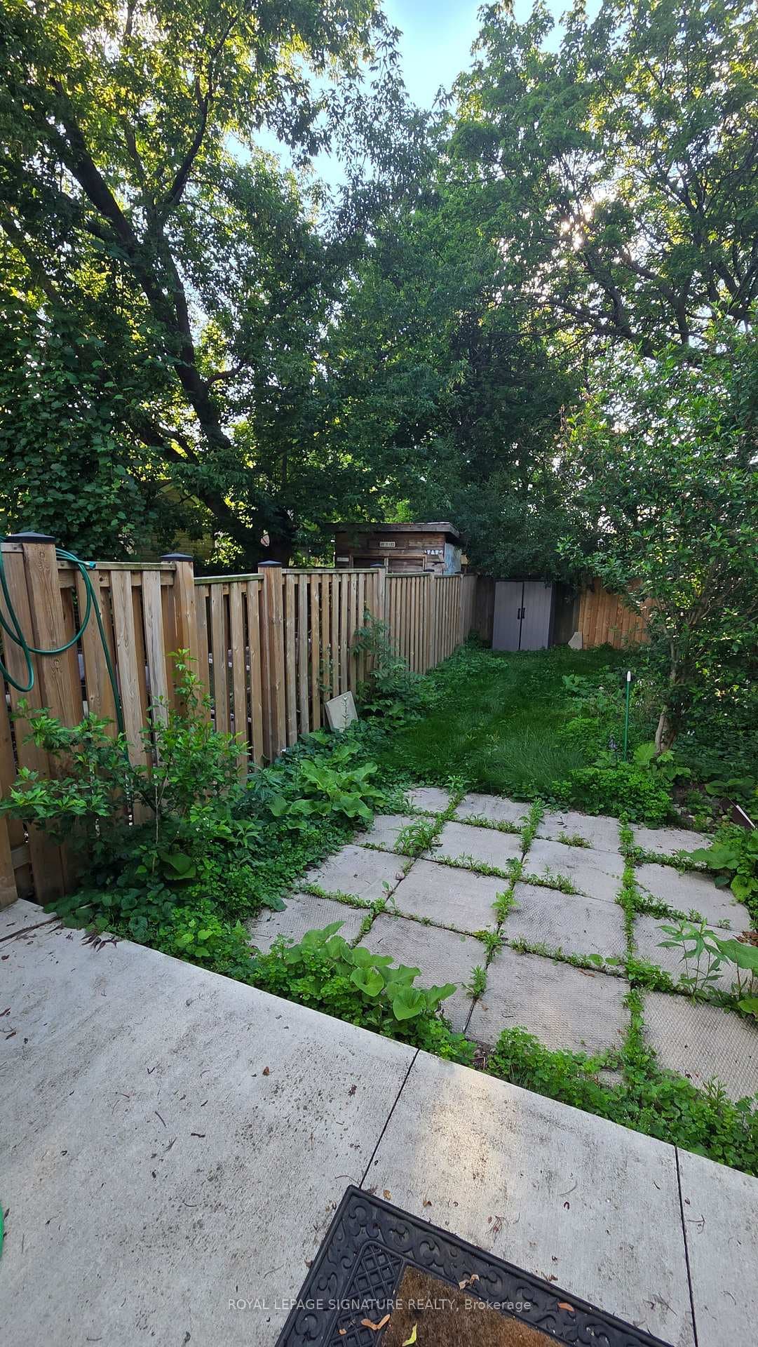 33 Hawthorne Avenue photo 12