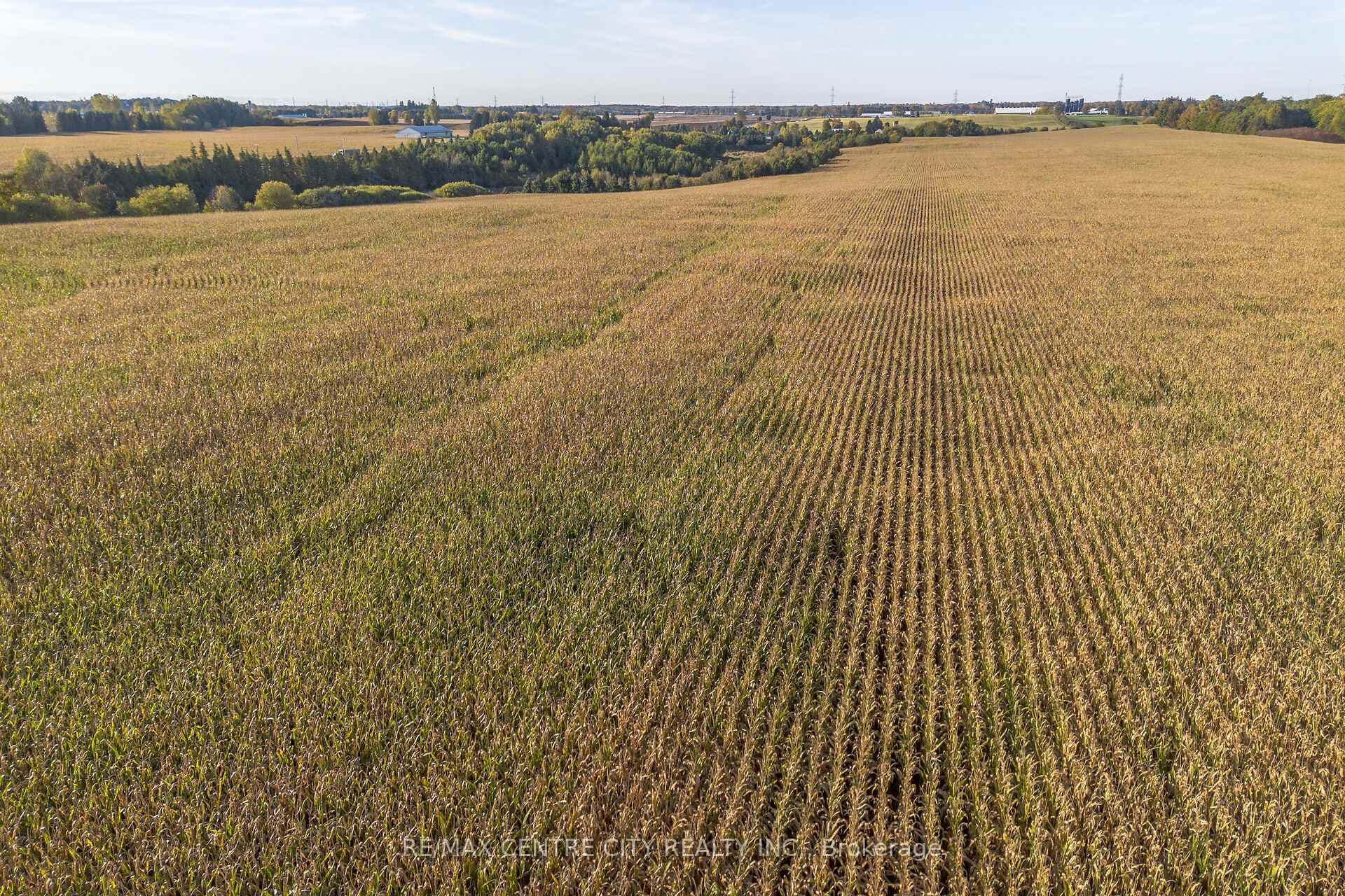 42783 Bridge Road photo 14