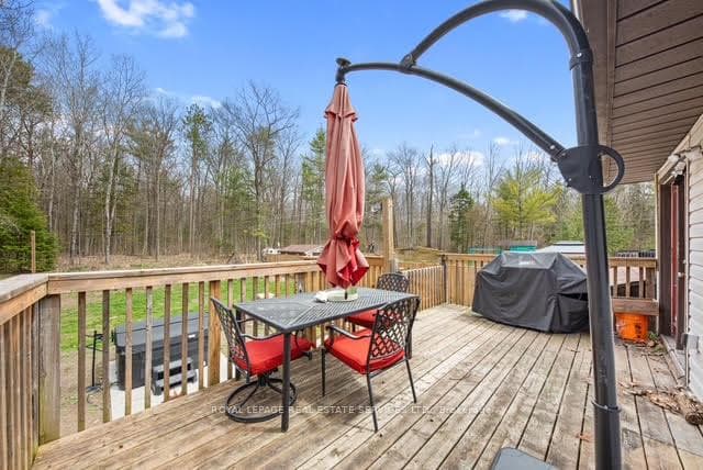 93 Ronald Avenue photo 25