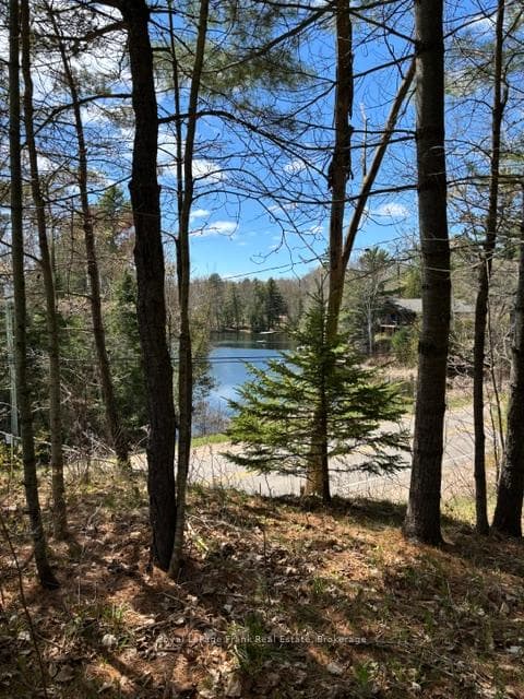 26686 Highway 62 N/A photo 6
