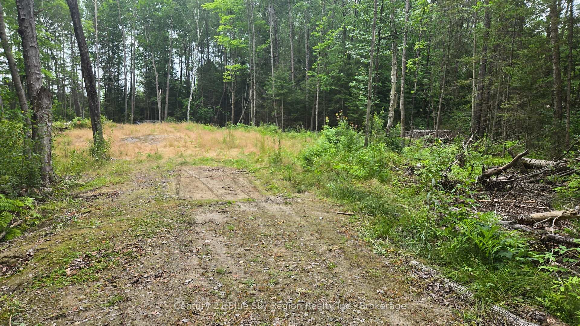 2438 Village Road photo 3