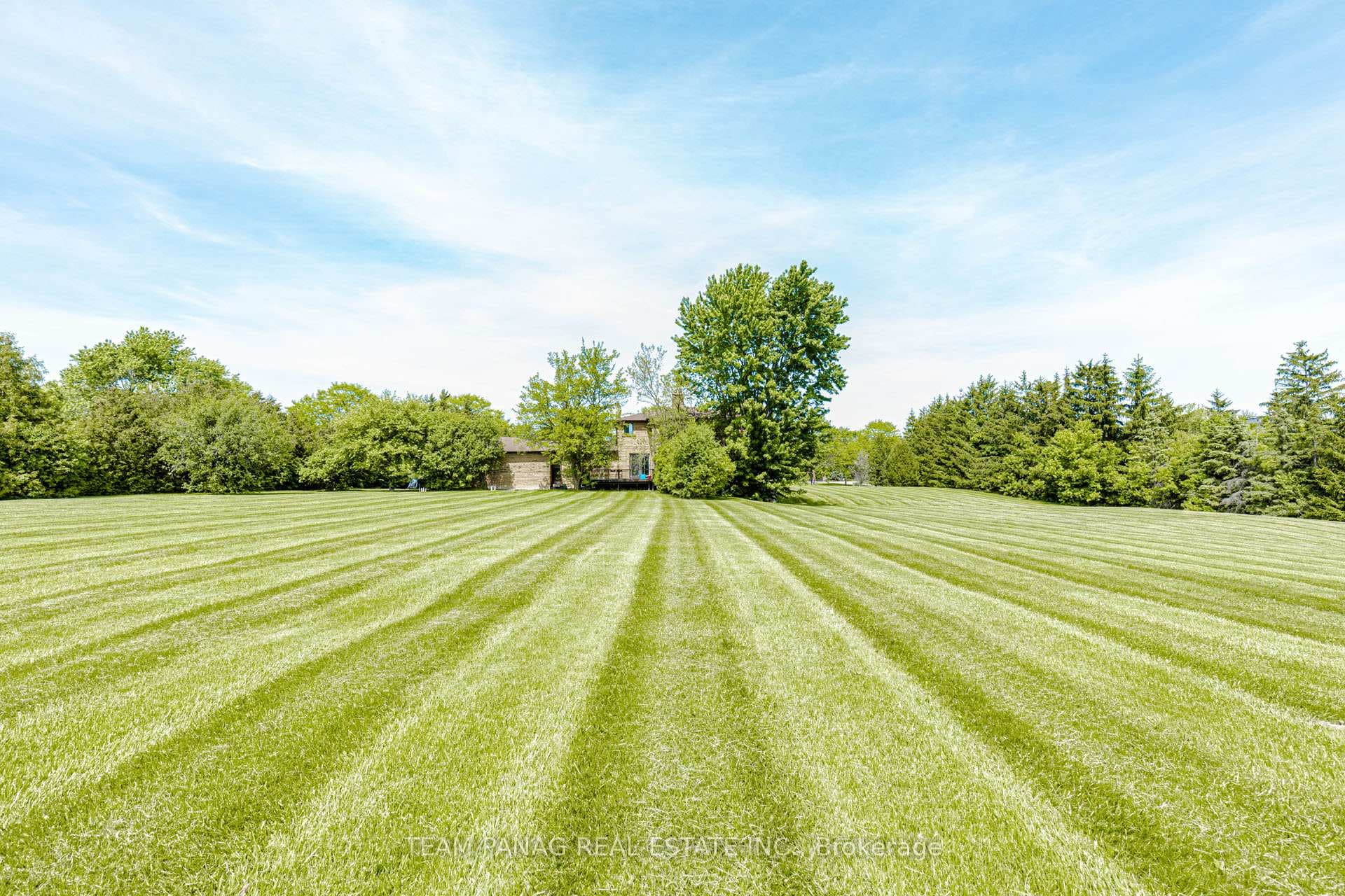 4 Forestbrook Court photo 31