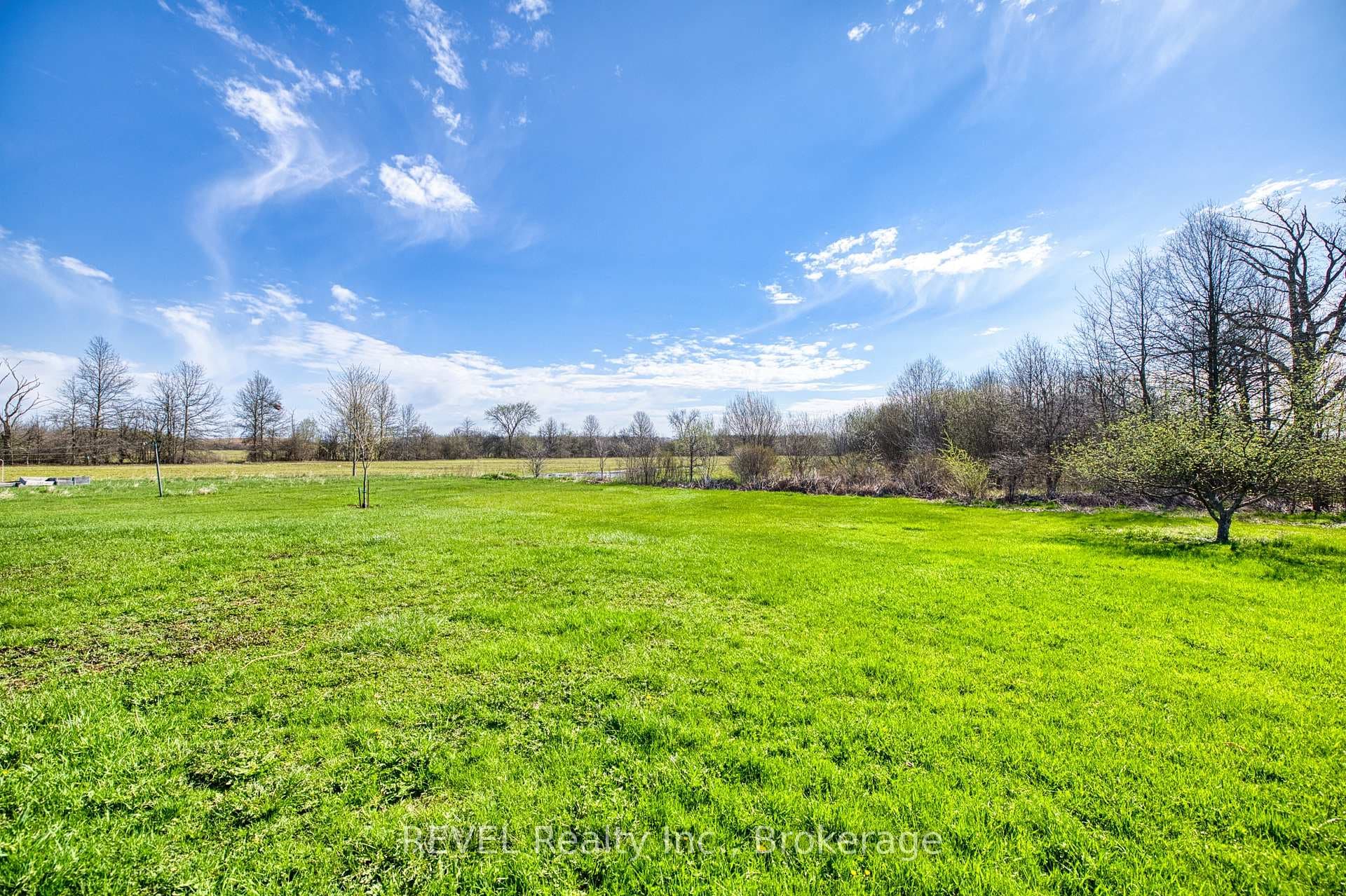 9572 Sodom Road photo 6