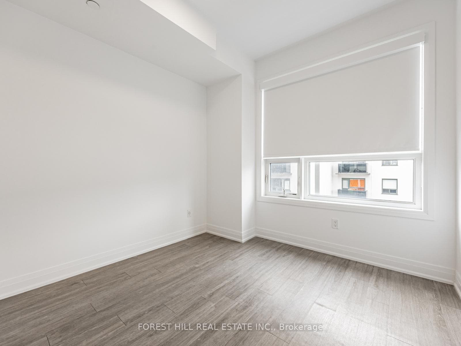 15 Brenthall Avenue Unit 12 photo 18