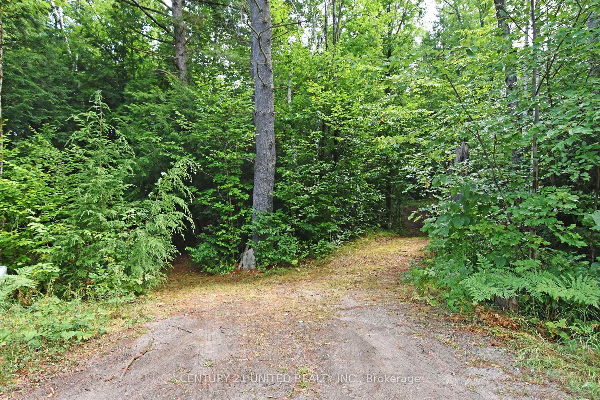 0 Clark Line Road photo 9