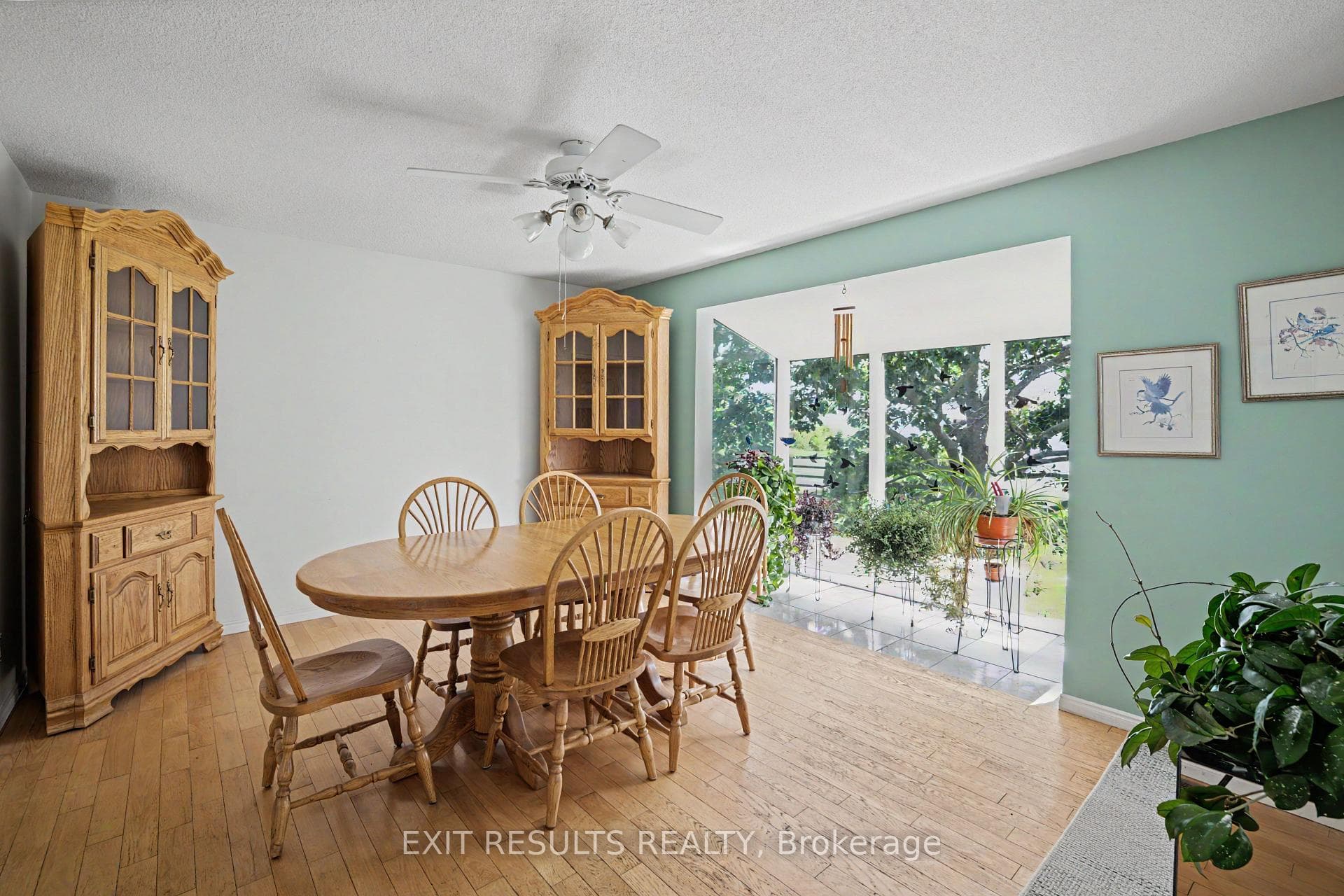 51 Elizabeth Street photo 13