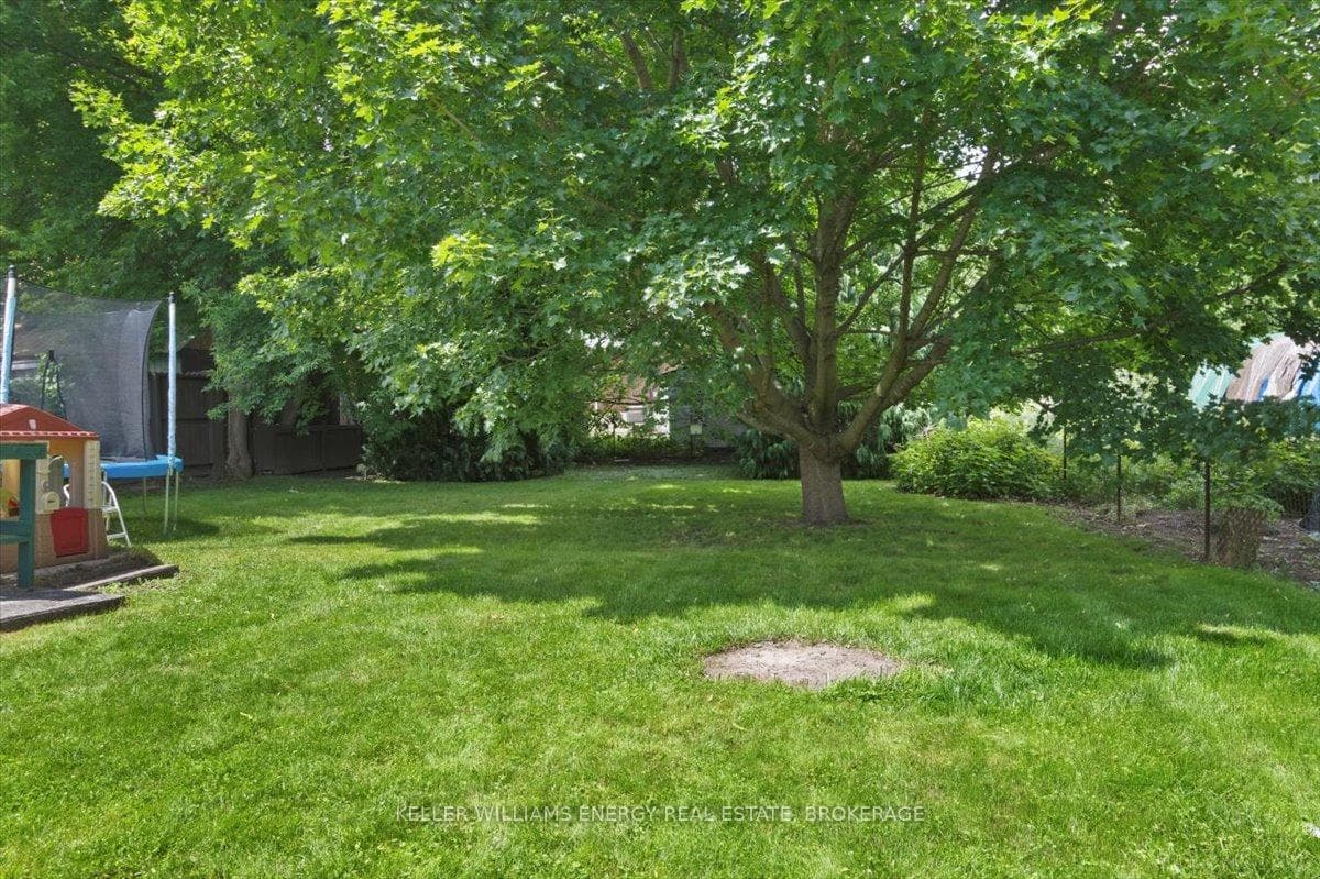 242 Elgin Street photo 34