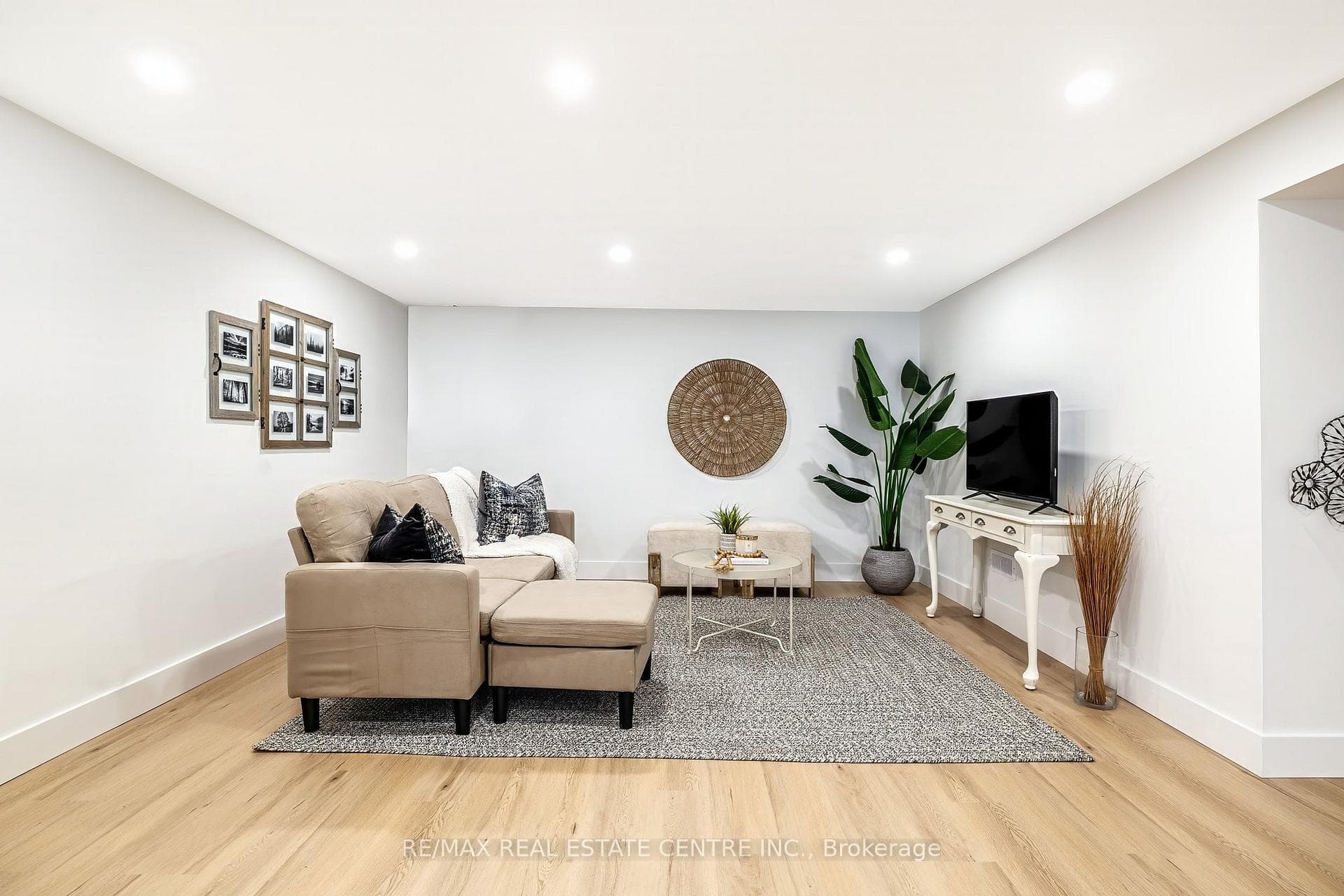 Lower level family room