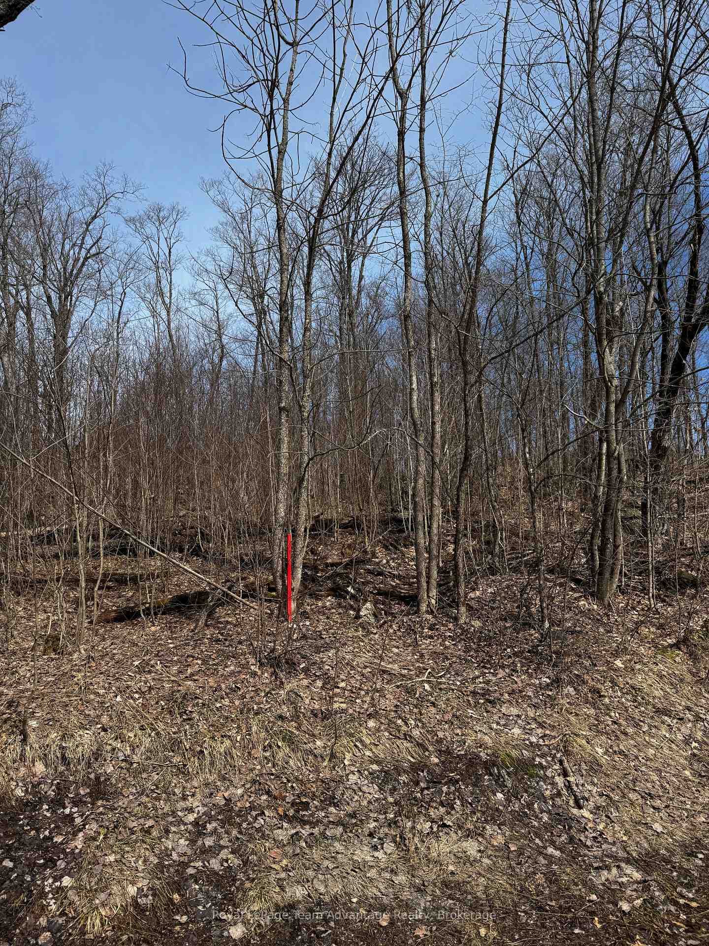 Lot 2 Lorimer Lake Road photo 6