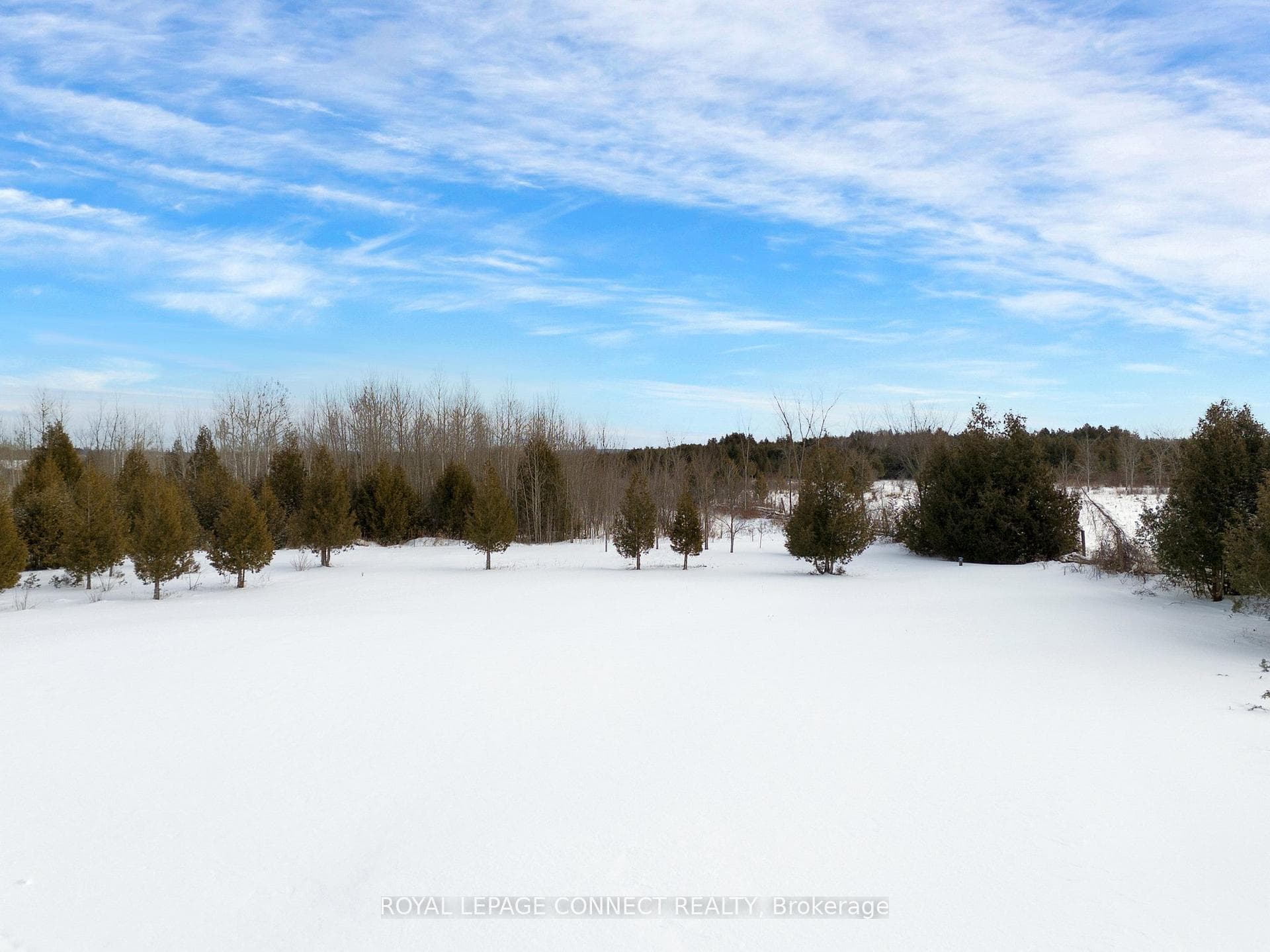 10 Rehill Drive photo 28