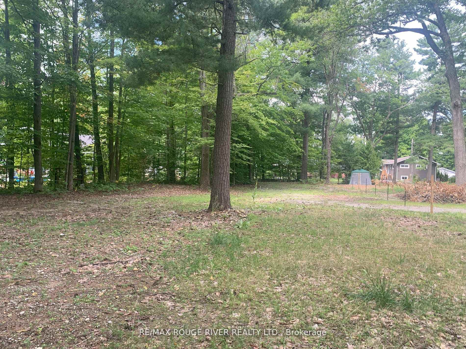 141 Oakwood Drive photo 7