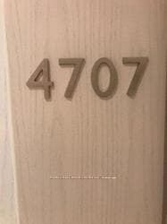 115 Blue Jays Way Unit 4707 photo 2