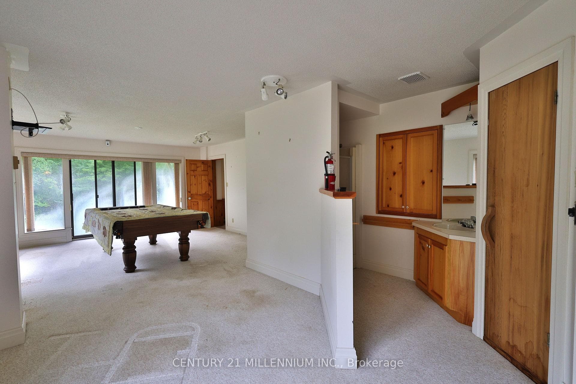Lower Level family room, sauna with sink & shower