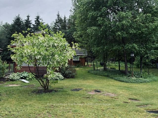5794 Highway 620 N/A photo 31