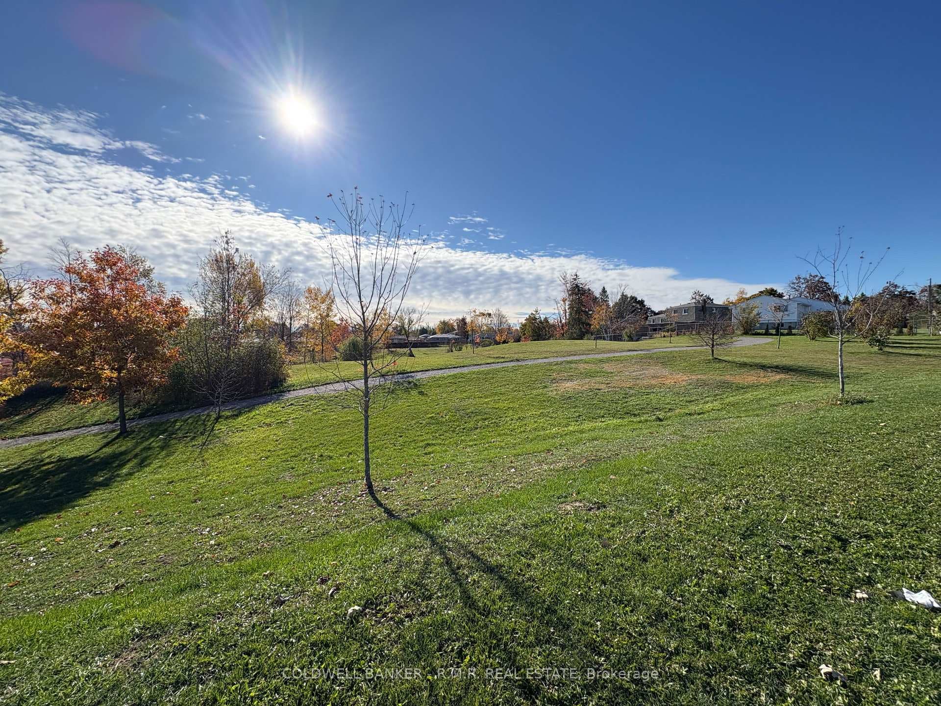 60 Alcorn Drive photo 24