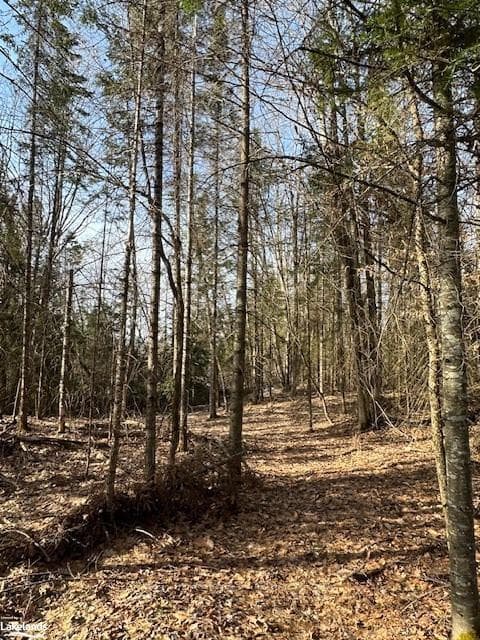 LOT 2 DWIGHT BEACH Road photo 40
