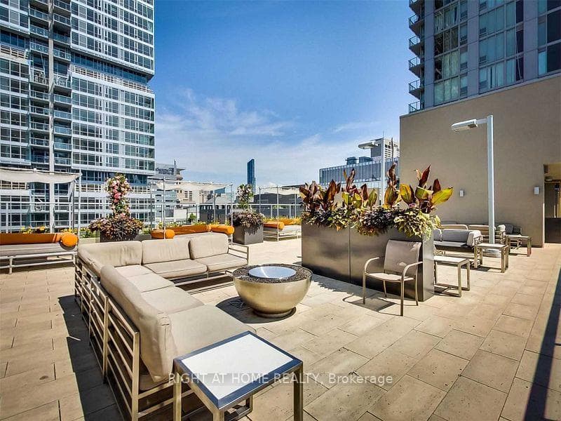 Rooftop Garden 4