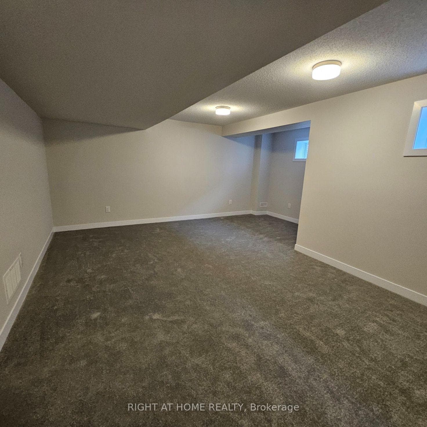 716 HAFLINGER Row photo 25