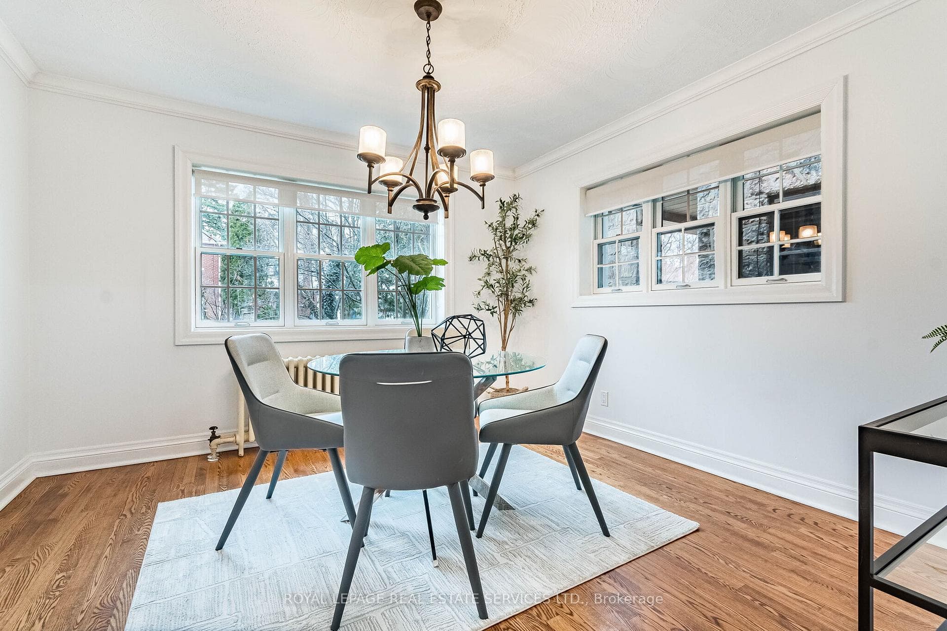 1107 Royal York Road photo 7