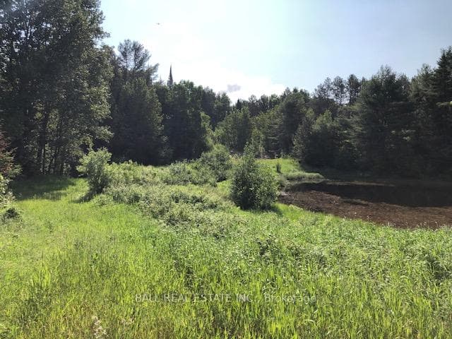 35956 Highway 62 N/A photo 3