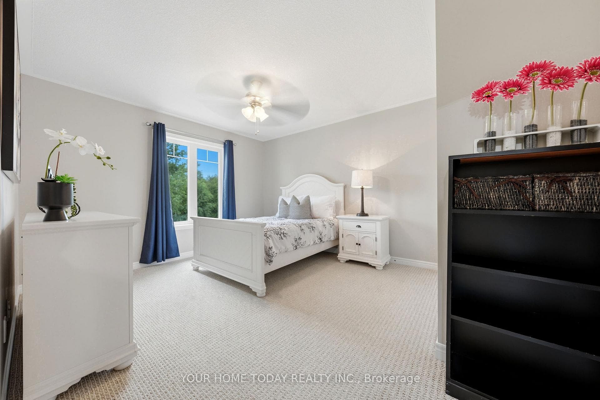 8 Trinity Court photo 31