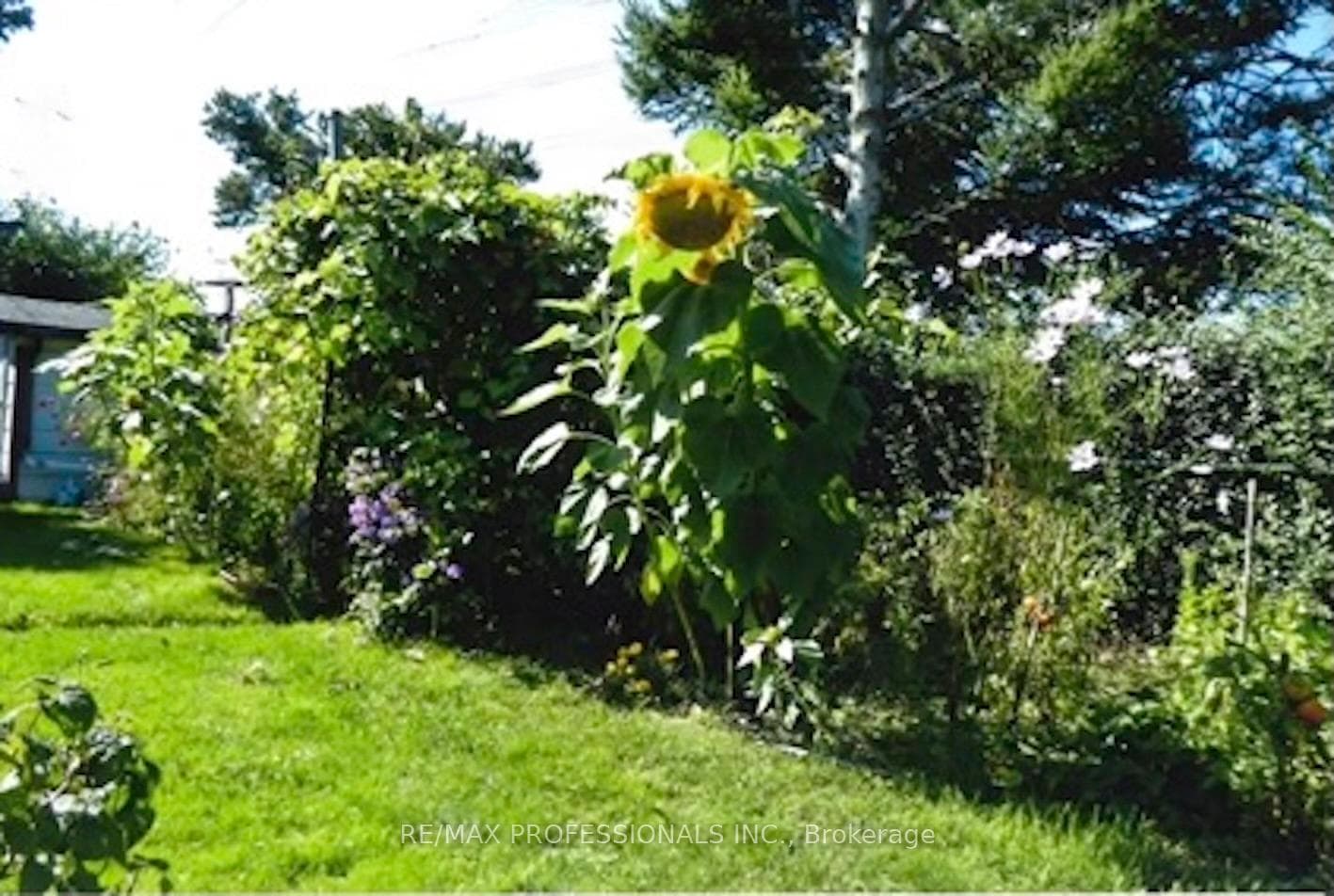 8 Castlebar Road photo 22
