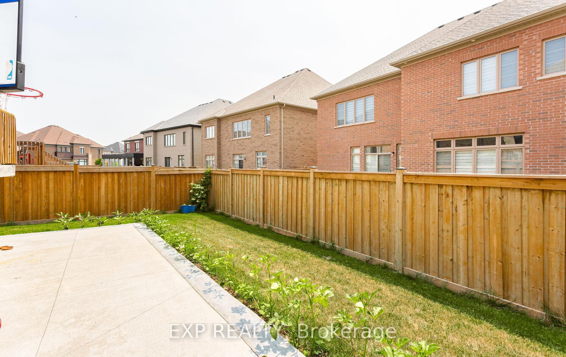 40 Frost Street photo 45