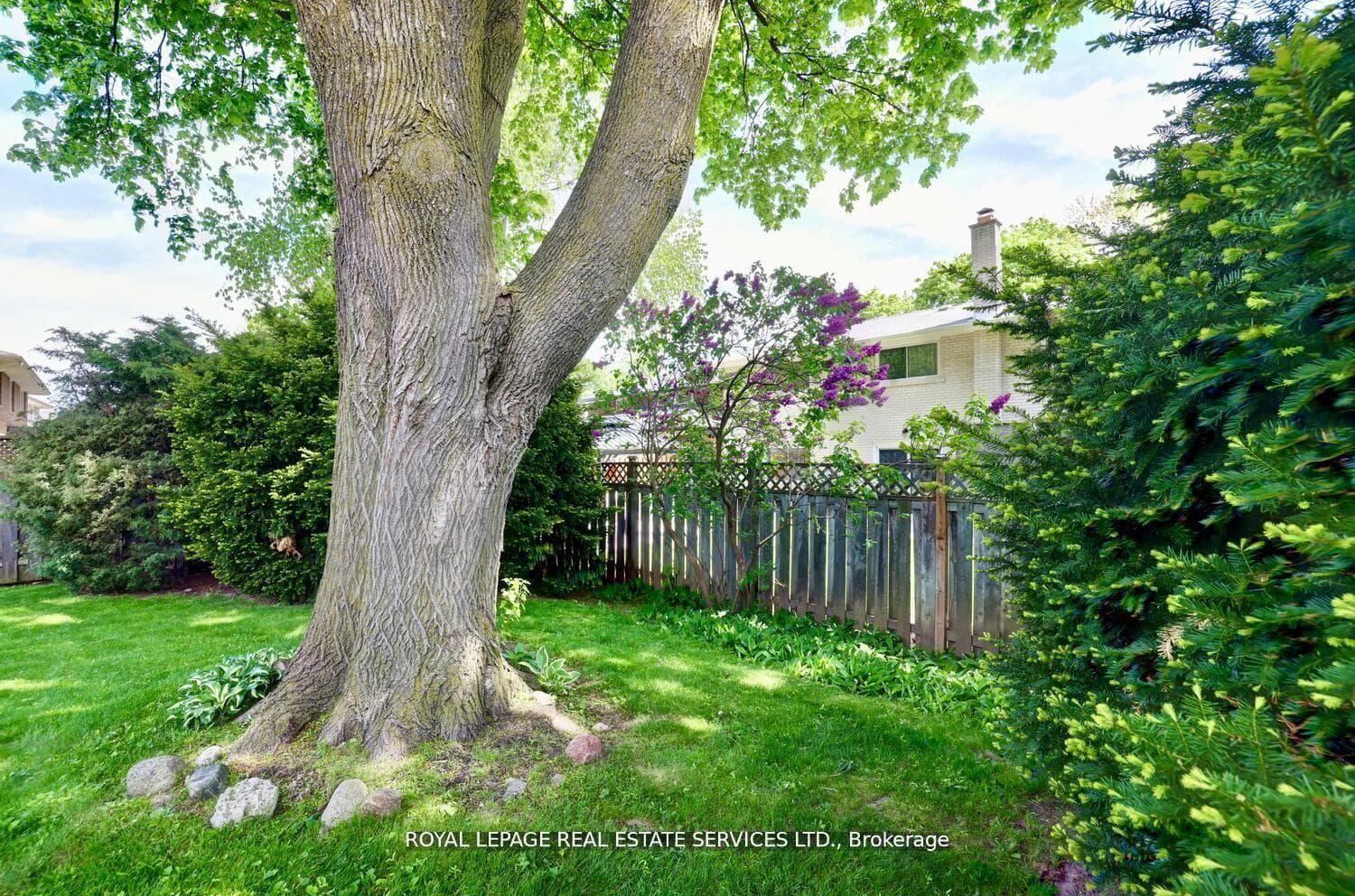 39 Pettit Drive photo 34