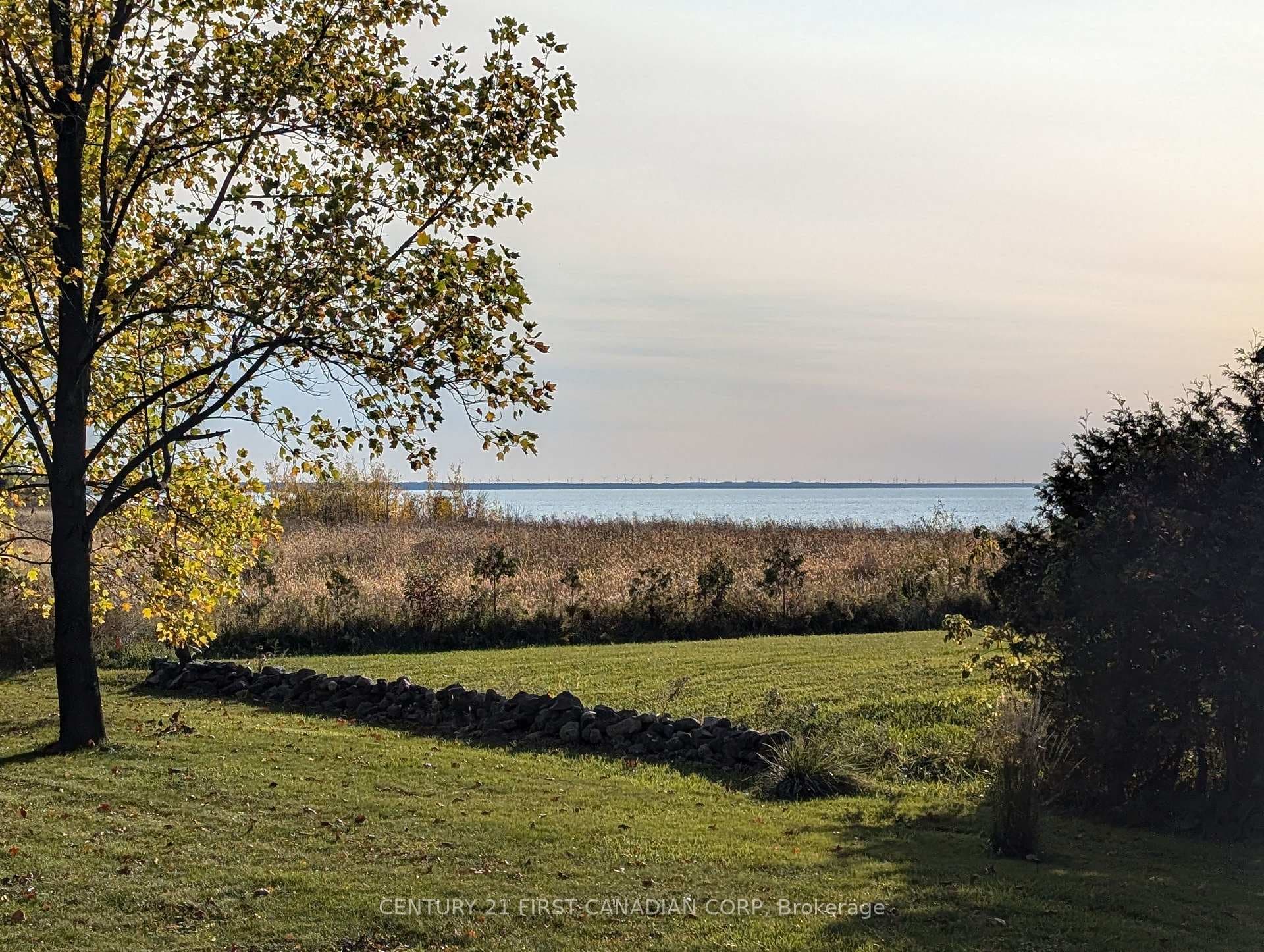 View from back yard