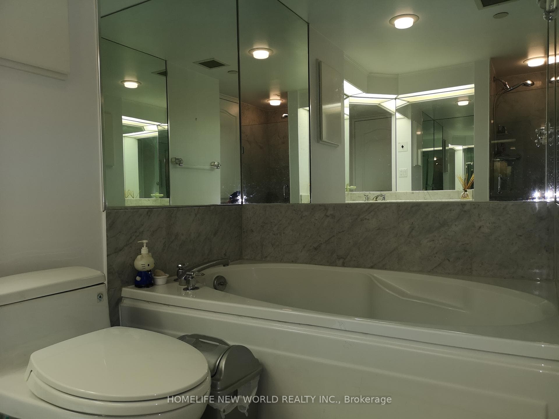 38 Elm Street Unit 3001 photo 12