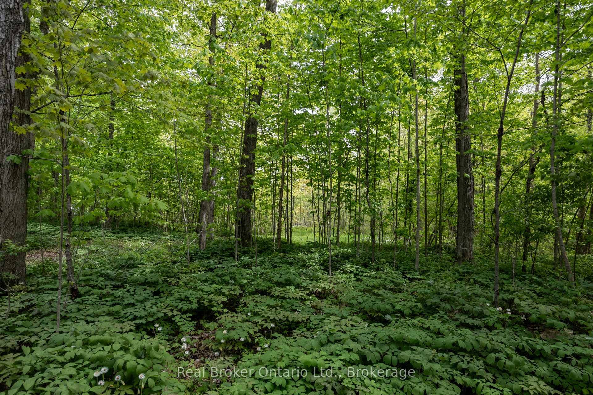 3061 Green Road photo 48