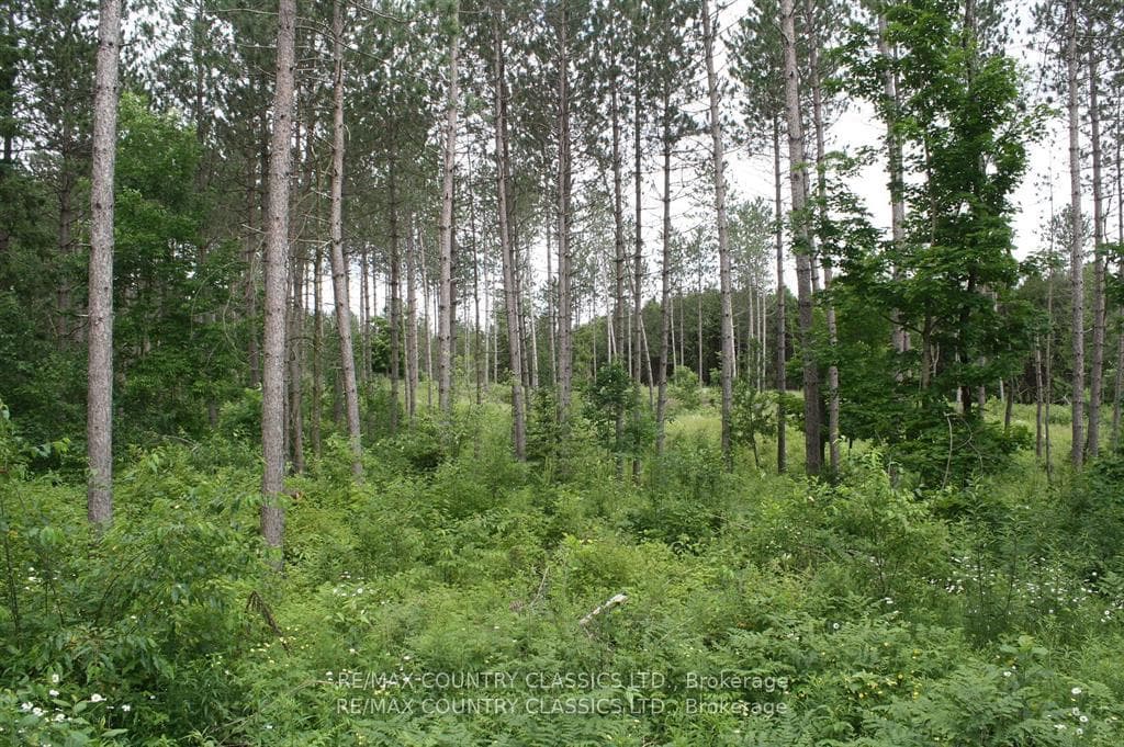 550 St. Ola Road photo 4