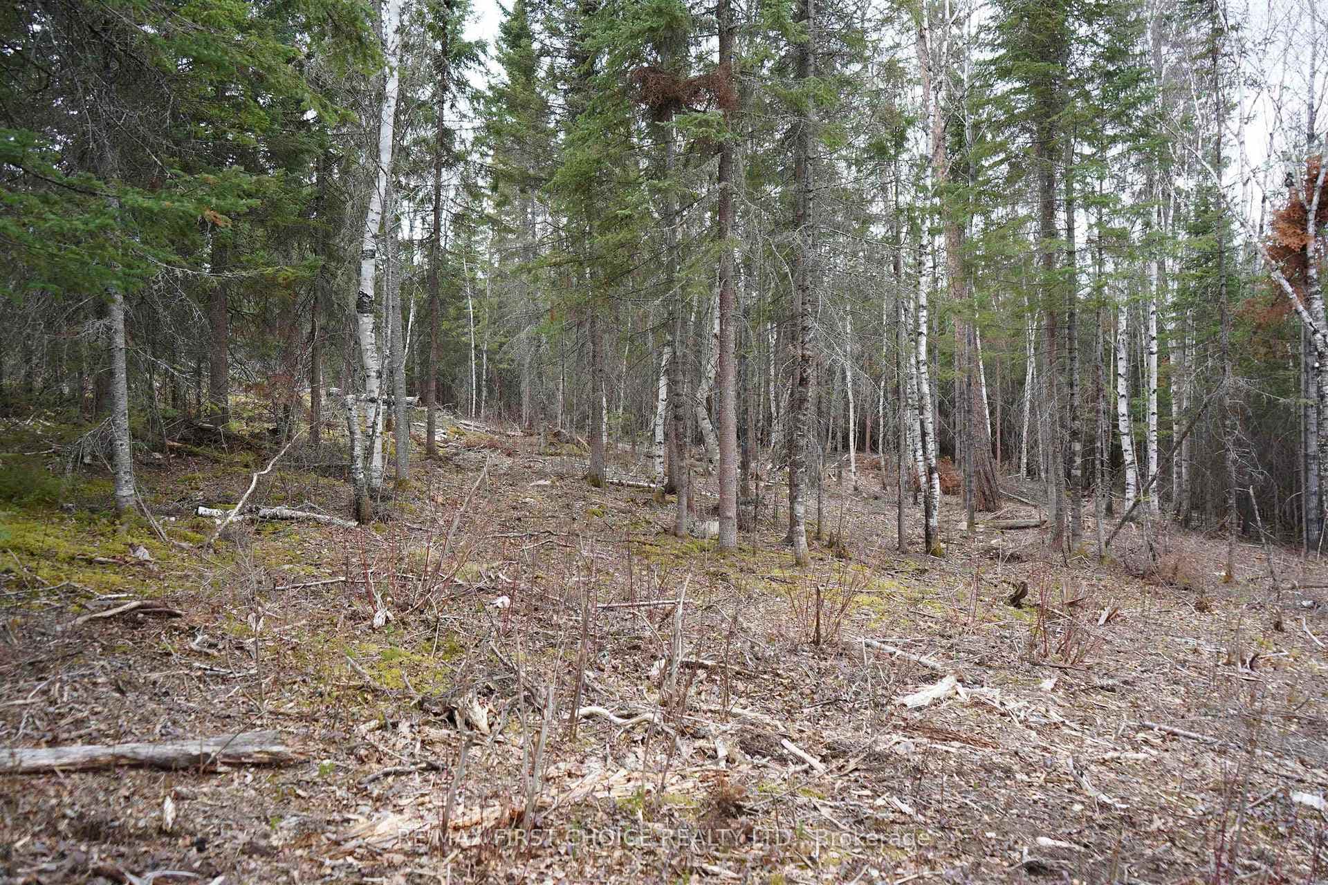 1 Gunn Lake Road photo 45