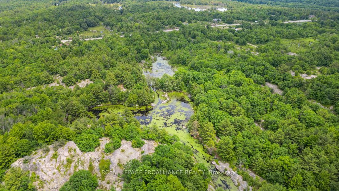 10450B Highway 41 N/A photo 9
