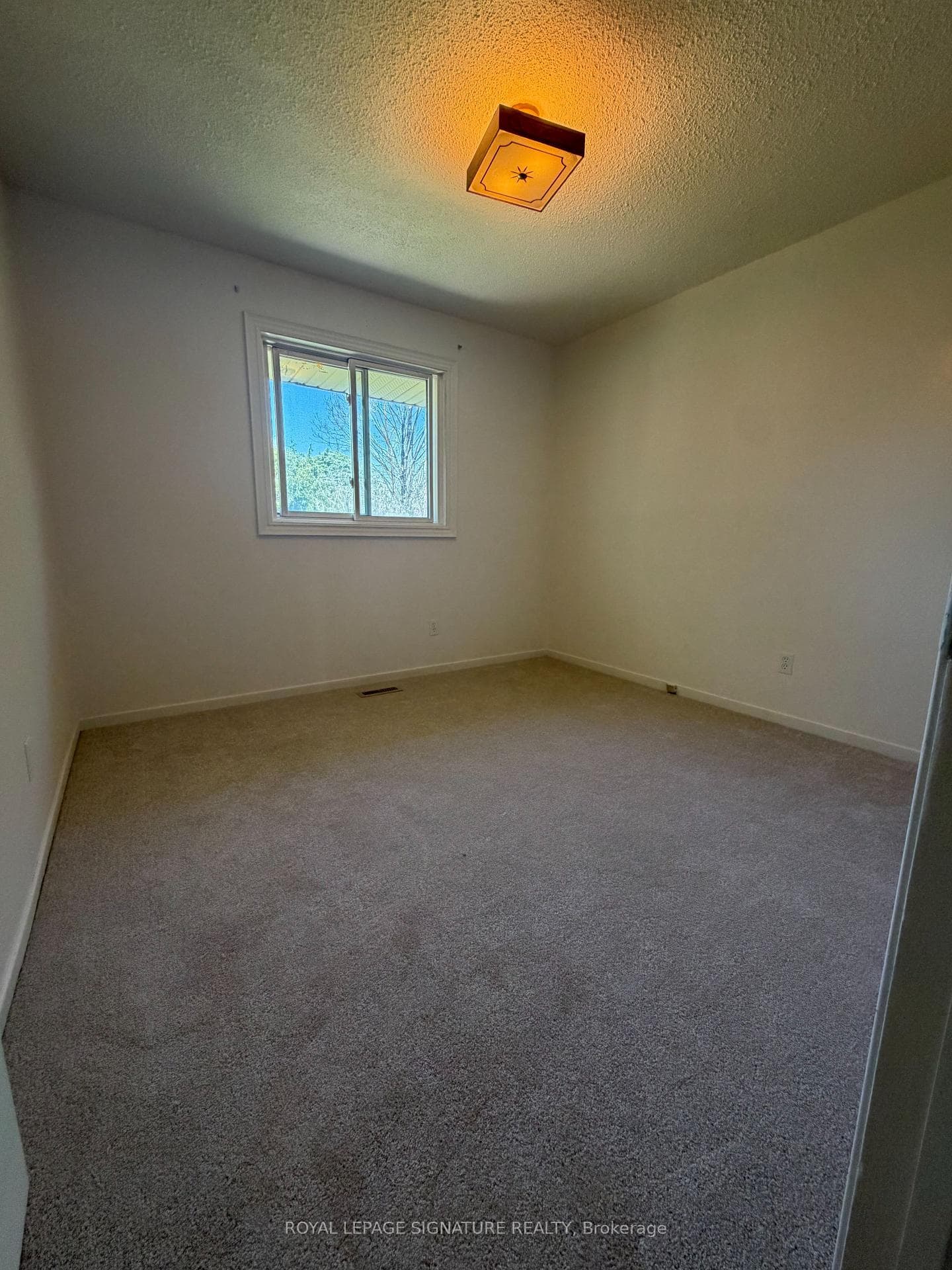 Bedroom 3 - new broadloom