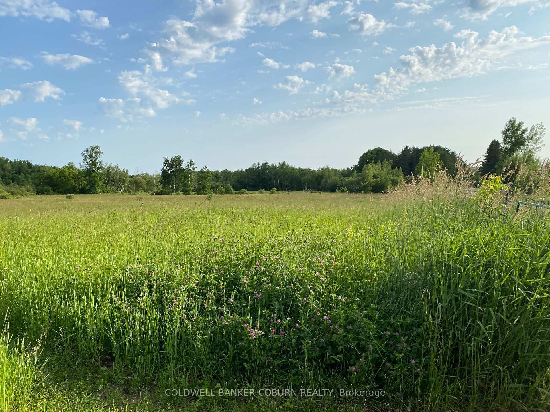 1419 Pittston Road photo 3